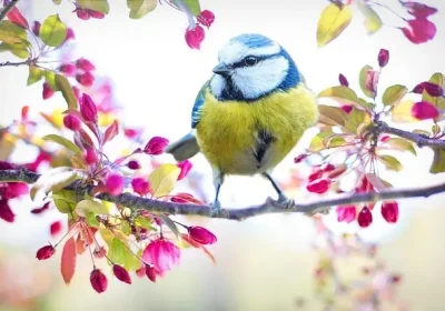 zeus-Hıdırellez-nedir-ve-ne-zaman-kutlanır