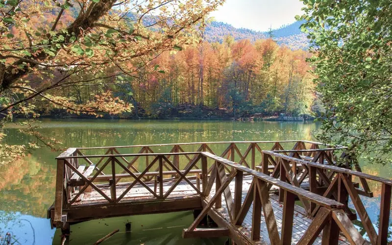 kamp-yerleri-zeus-bolu-yedigöller