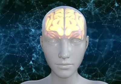 Beynimiz, her an milyonlarca uyarana maruz kalır. Gerçek yaşam olayları ile hayal edilen senaryoların bazıları, beyinde benzer bölgeleri aktive eder