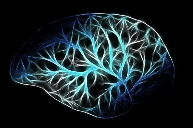 Prefrontal Korteks Nedir? Kararların ve Mantığın Beyindeki Merkezi Prefrontal korteks, plan yapma, mantıklı düşünme, sosyal davranışları kontrol etme ve karar verme gibi karmaşık bilişsel süreçlerin merkezidir.